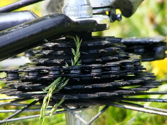 Bilist manglende overholdelse af vigepligt førte til sammenstød med cyklist