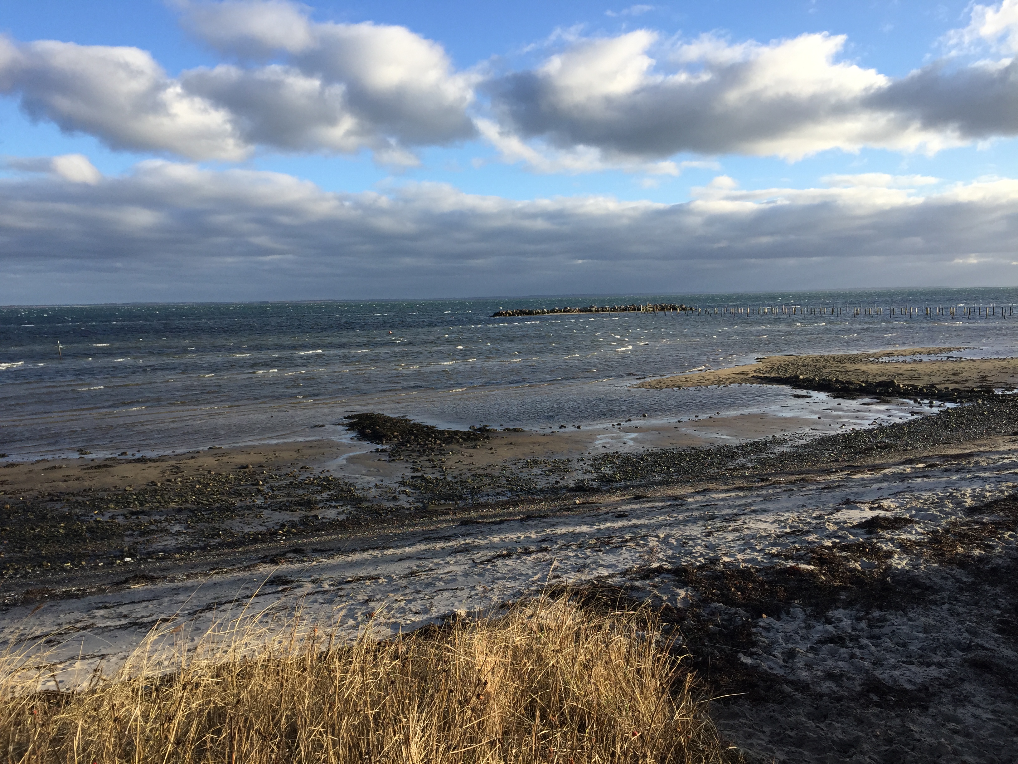 Risiko for tåge