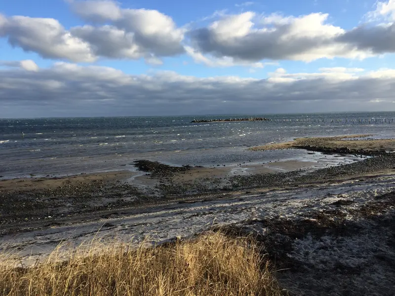 Stormflodsramte boligejere kan søge erstatning for skader