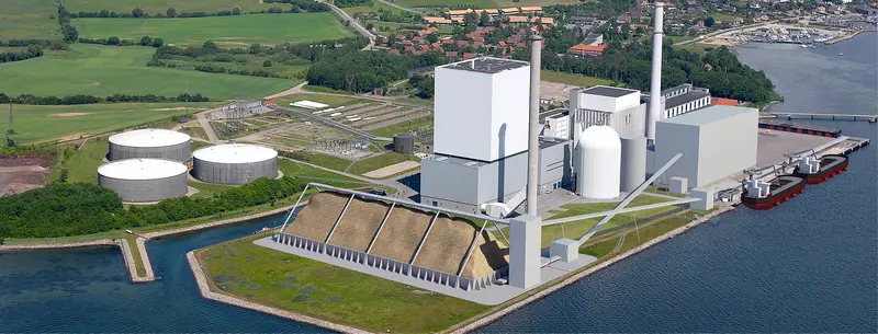 Danmarks forbrug af biomasse til energi er fortsat højt
