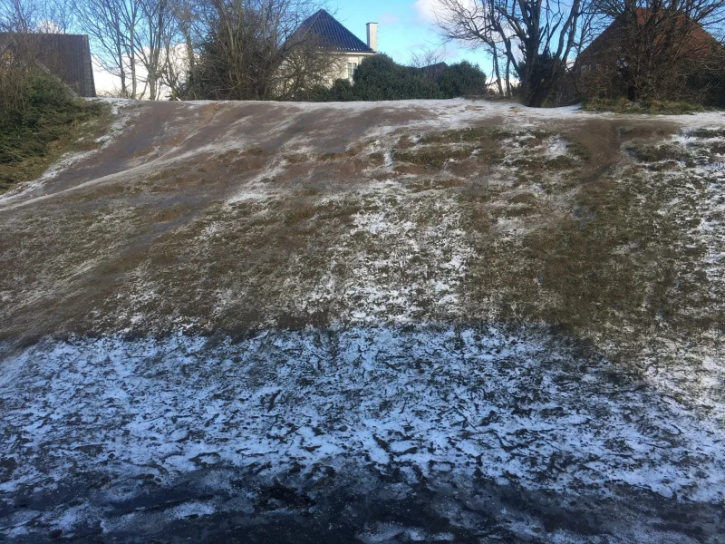 Iskold luft og nattefrost