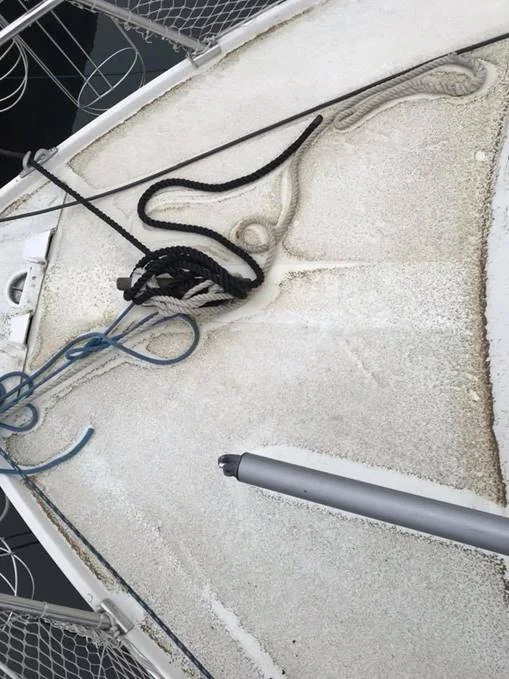 Flere rotter i Middelfart sender regningen op og gebyret følger med