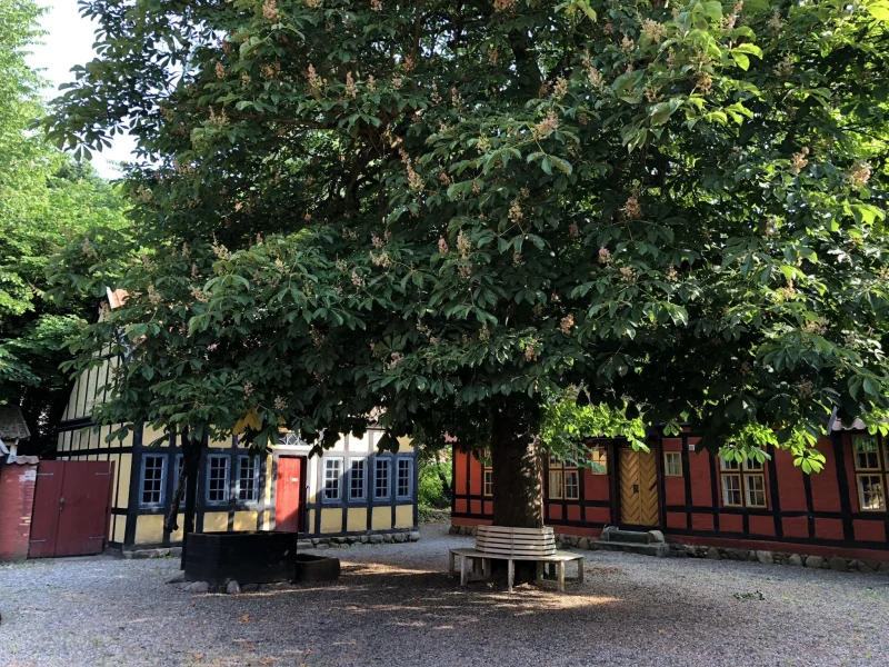 Ny leder ved roret: Museum Fredericia får midlertidig direktør