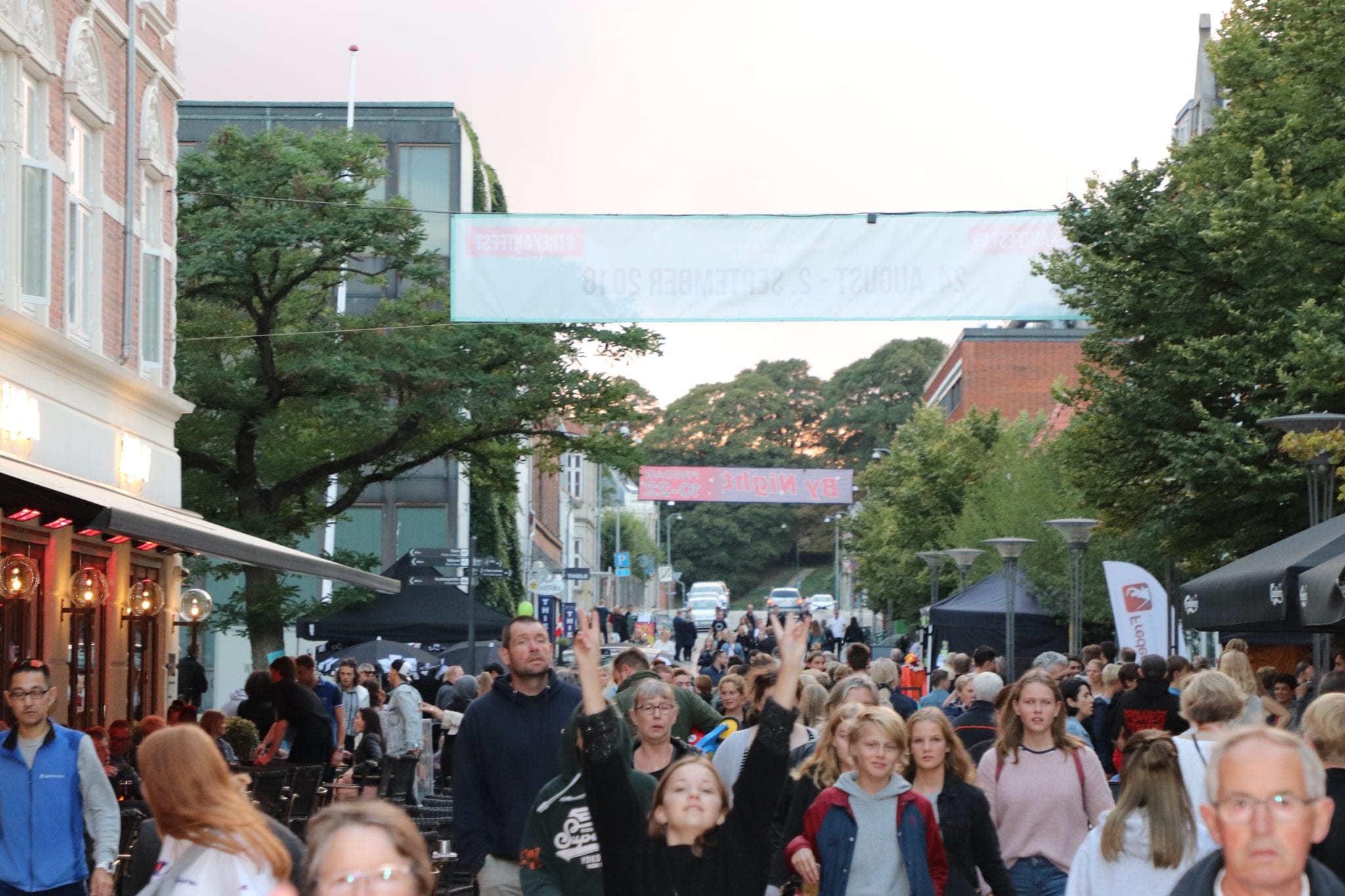 Fredericias planer for vækstområder
