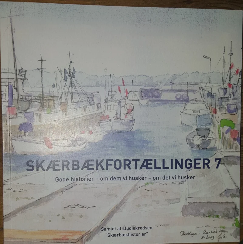 Daugaard fejer alle alternativer af bordet: »Der er kun én model, der dur, så lad os komme i gang«