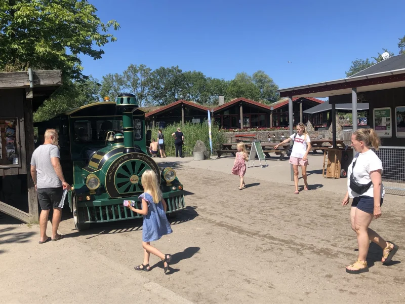 Tre unge anholdt efter indbrud i Madsby Legepark: Stjal golfvogn og hærgede legeparkens tog