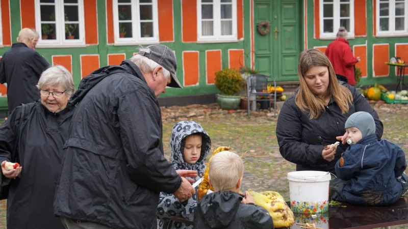 Vejle vender tilbage til sejrssporet efter uafgjort-stime