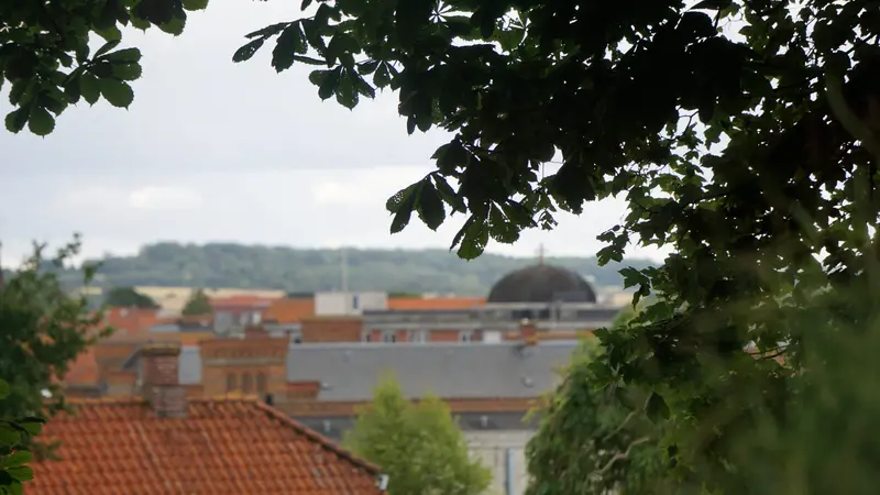 »Blev forelsket i Fredericia på en regnvejrsdag i marts«