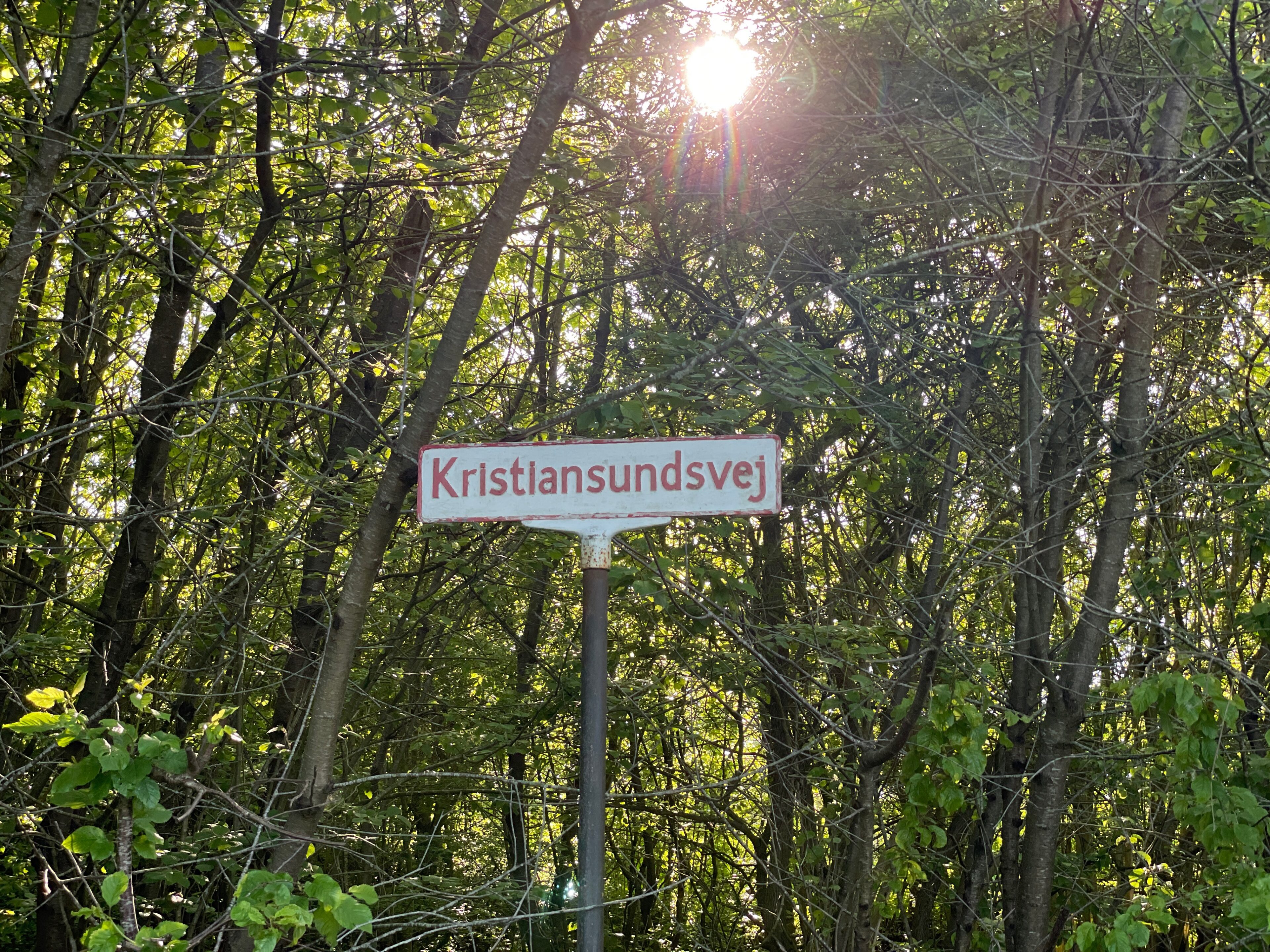 Lastbilchauffør får betinget fængselsdom for brug af tidligere kollegas førerkort