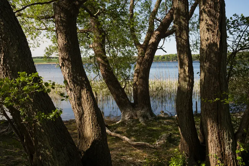 Naturplan i Fredericia nytænkes