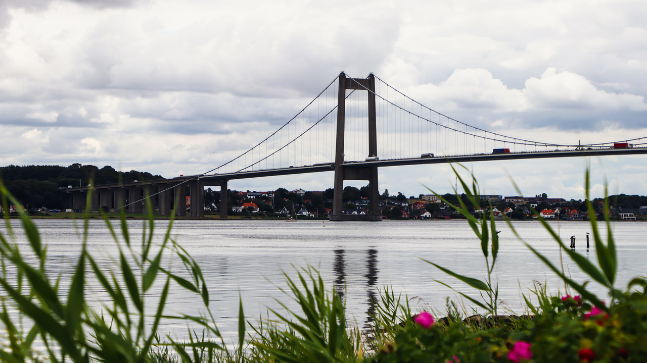 SF kræver lukning af havbrug i Lillebælt og strengere kontrol med fiskeriet