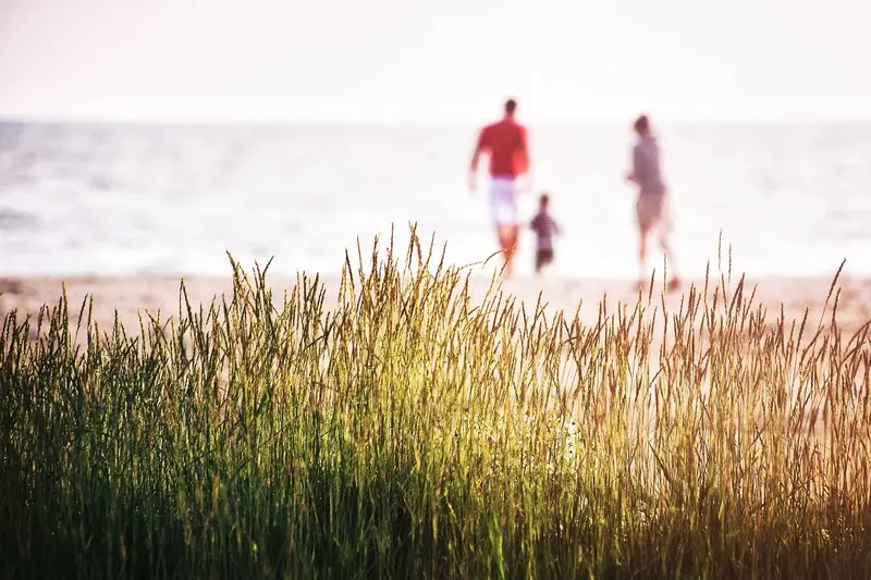 Kæmpe stigning i sommerhussalg mellem familiemedlemmer