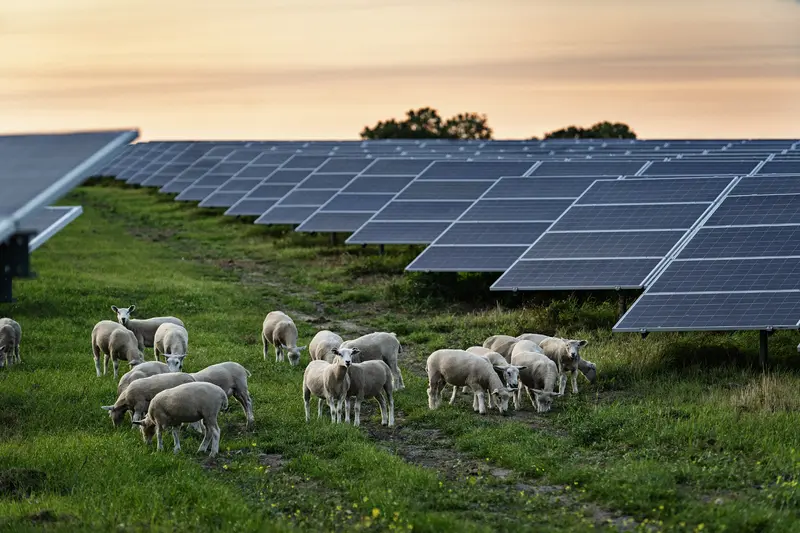 Vindmøller og solceller udløser millioner til to sydjyske kommuner