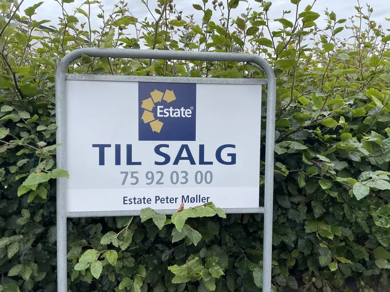 Mægler: Bankerne skal ikke tale et marked dødt