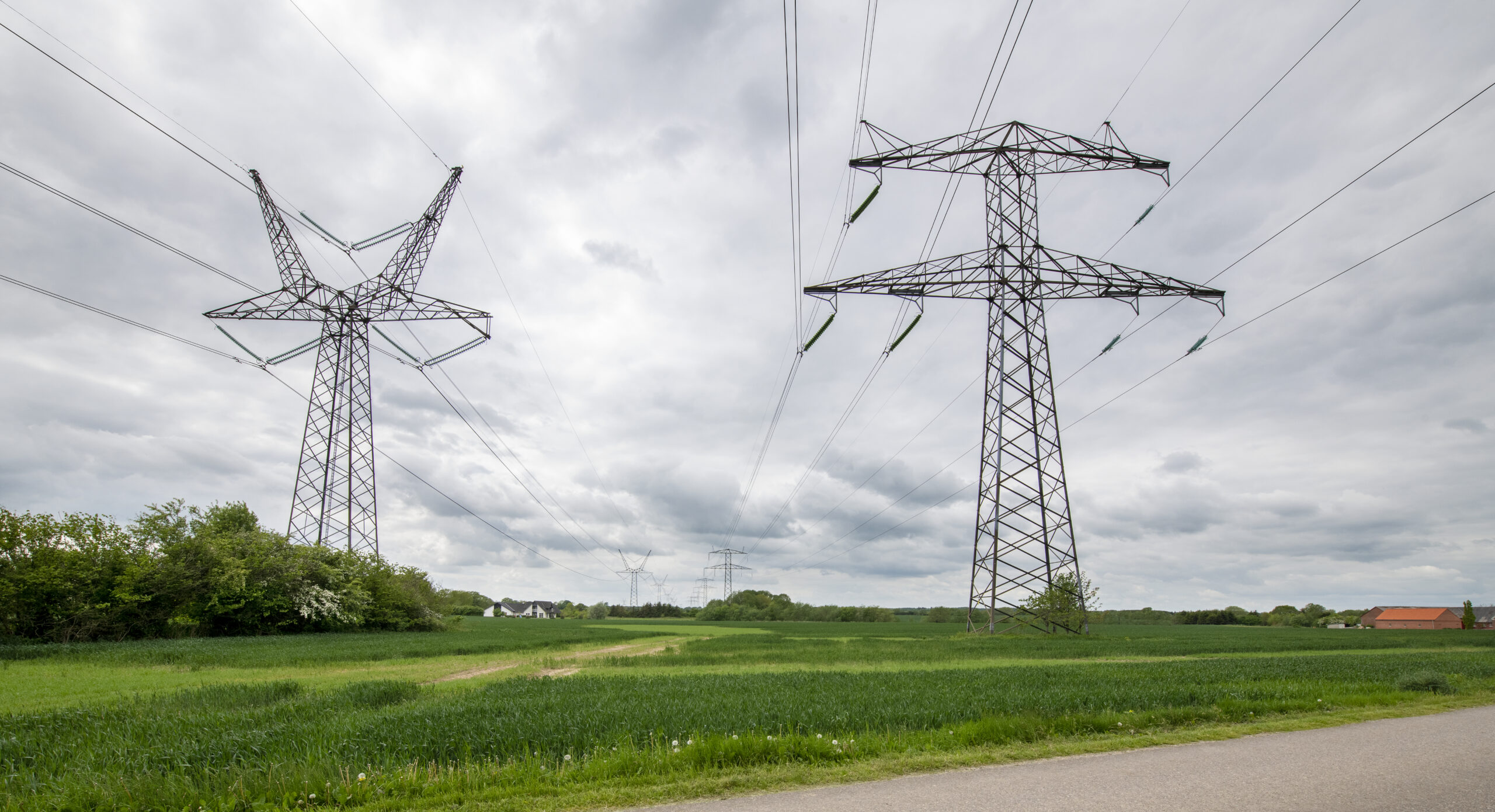 Energihandlere løsladt efter næsten to måneder bag tremmer i markedsmanipulationssag