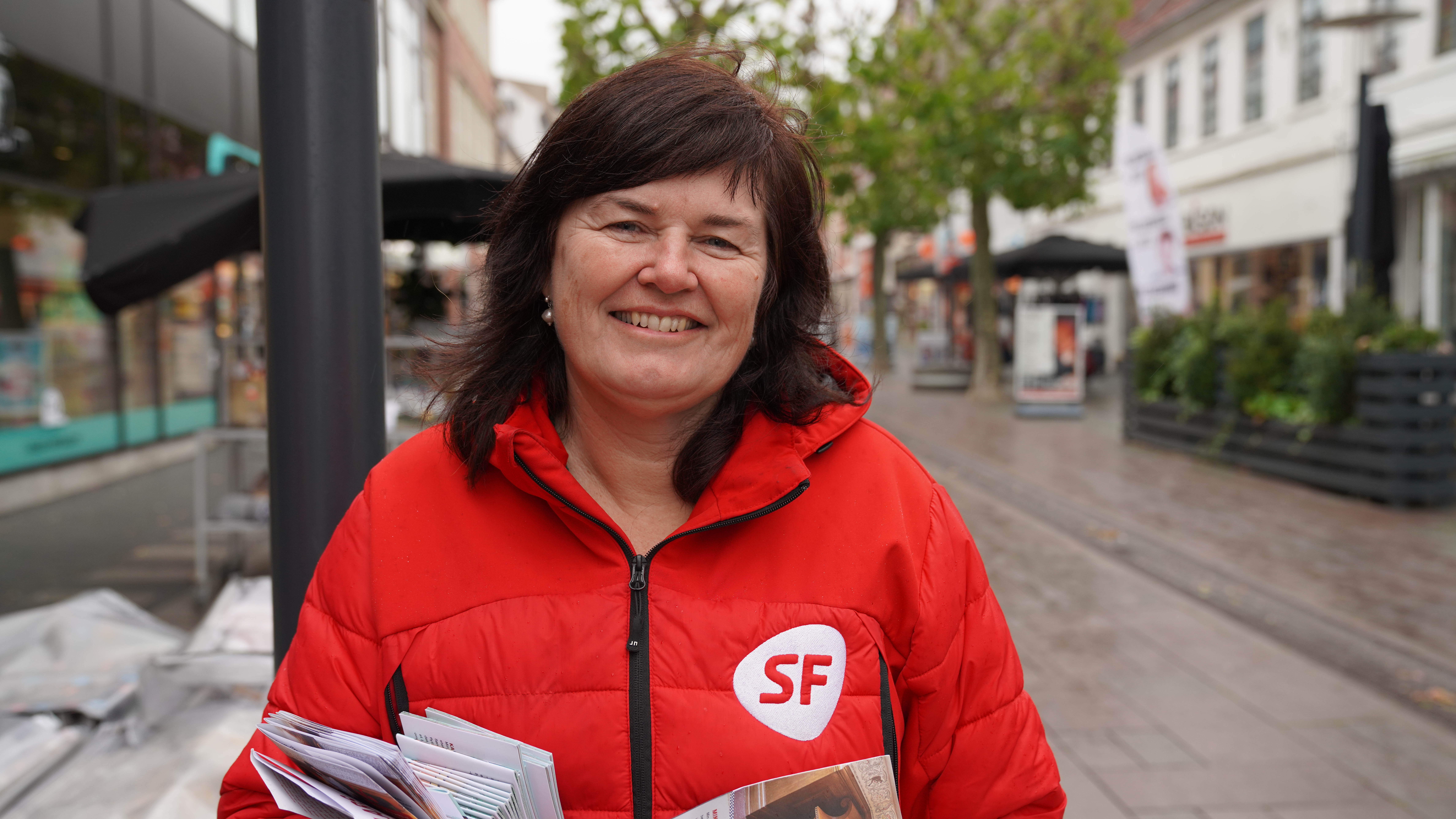 SF vil give sydjyske borgere ret til del i overskuddet fra opsætning af solceller og vindmøller - som i Sæd