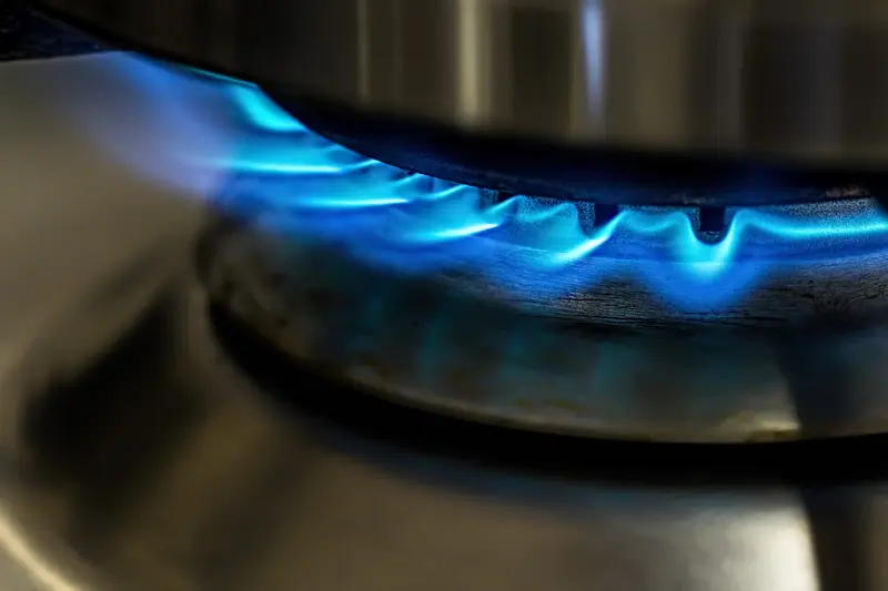 Usædvanlig brand i Vamdrup: Hund tændte komfur