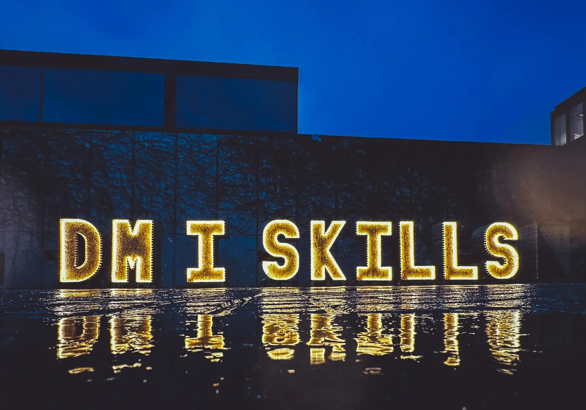 DM i Skills 23 klar med 68 fag i Fredericia