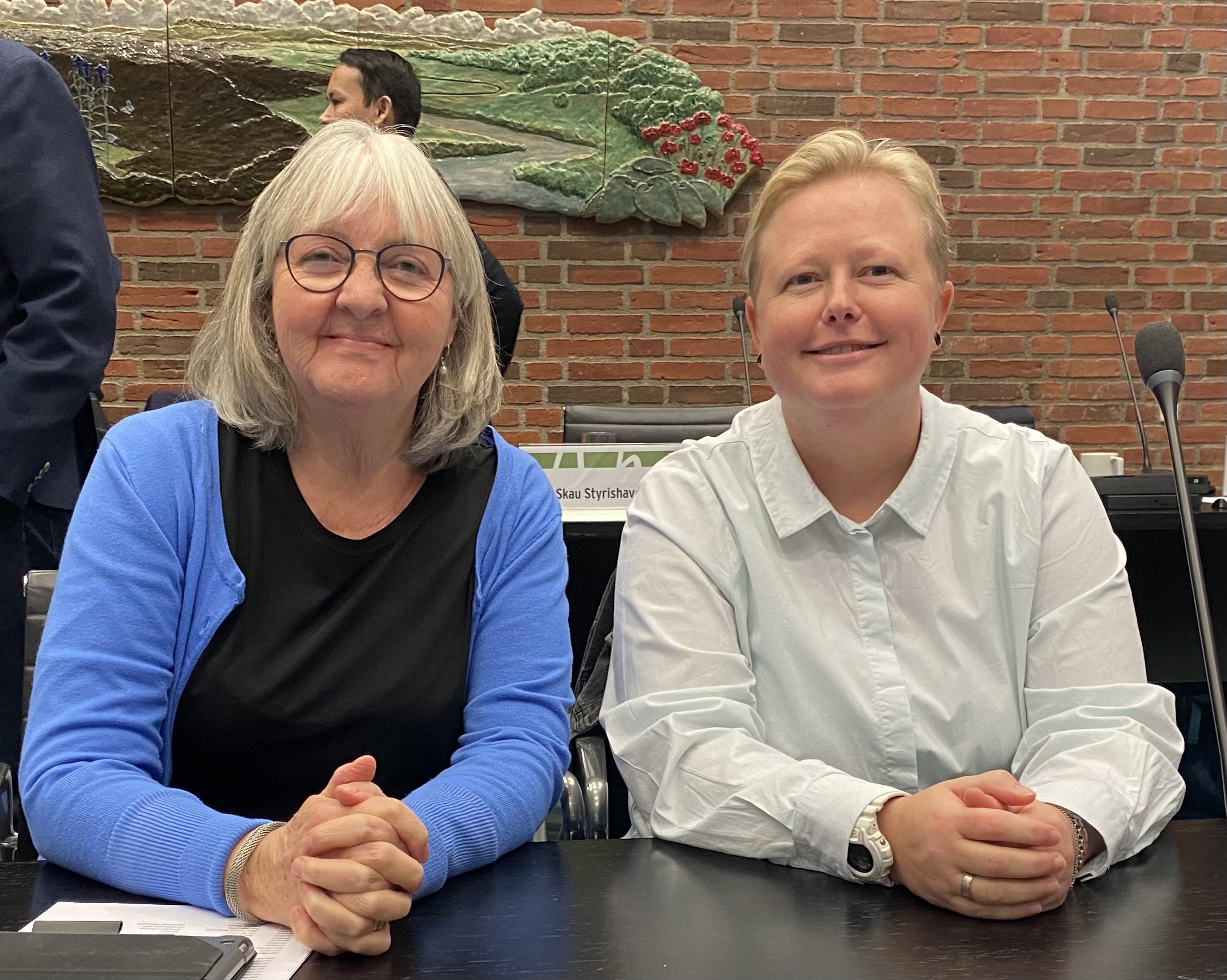 SF ønsker at hjemtage ambulancekørslen i hele Region Syddanmark