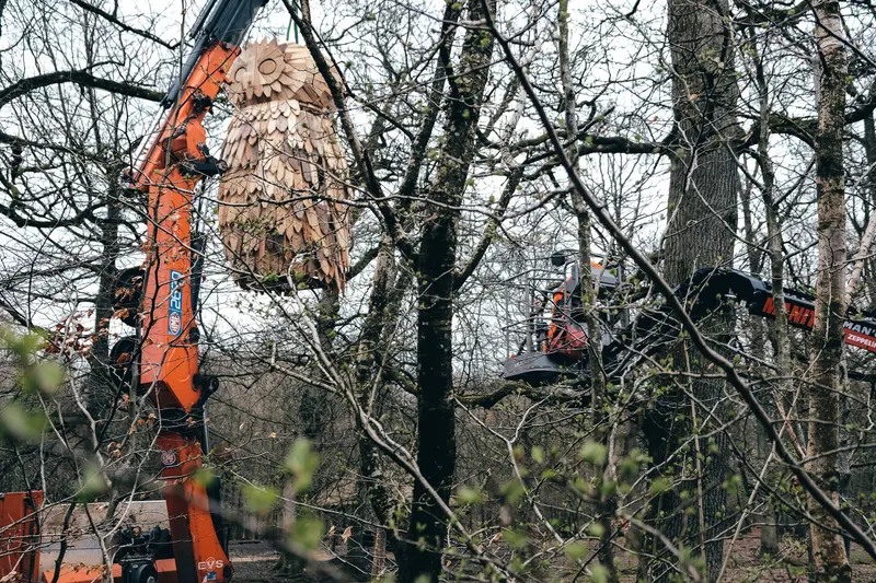 Ny beboer i Fuglsang Skov