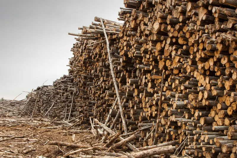 Danmarks naturressourcer for 2023 er snart opbrugt