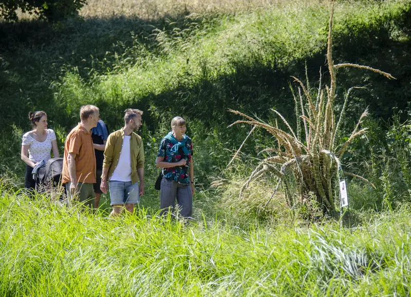 Deltagerrekord til 6. Juli CupI fire dage i juli arbejder florister fra ind- og udland med naturkunst på det historiske voldanlæg i Fredericia