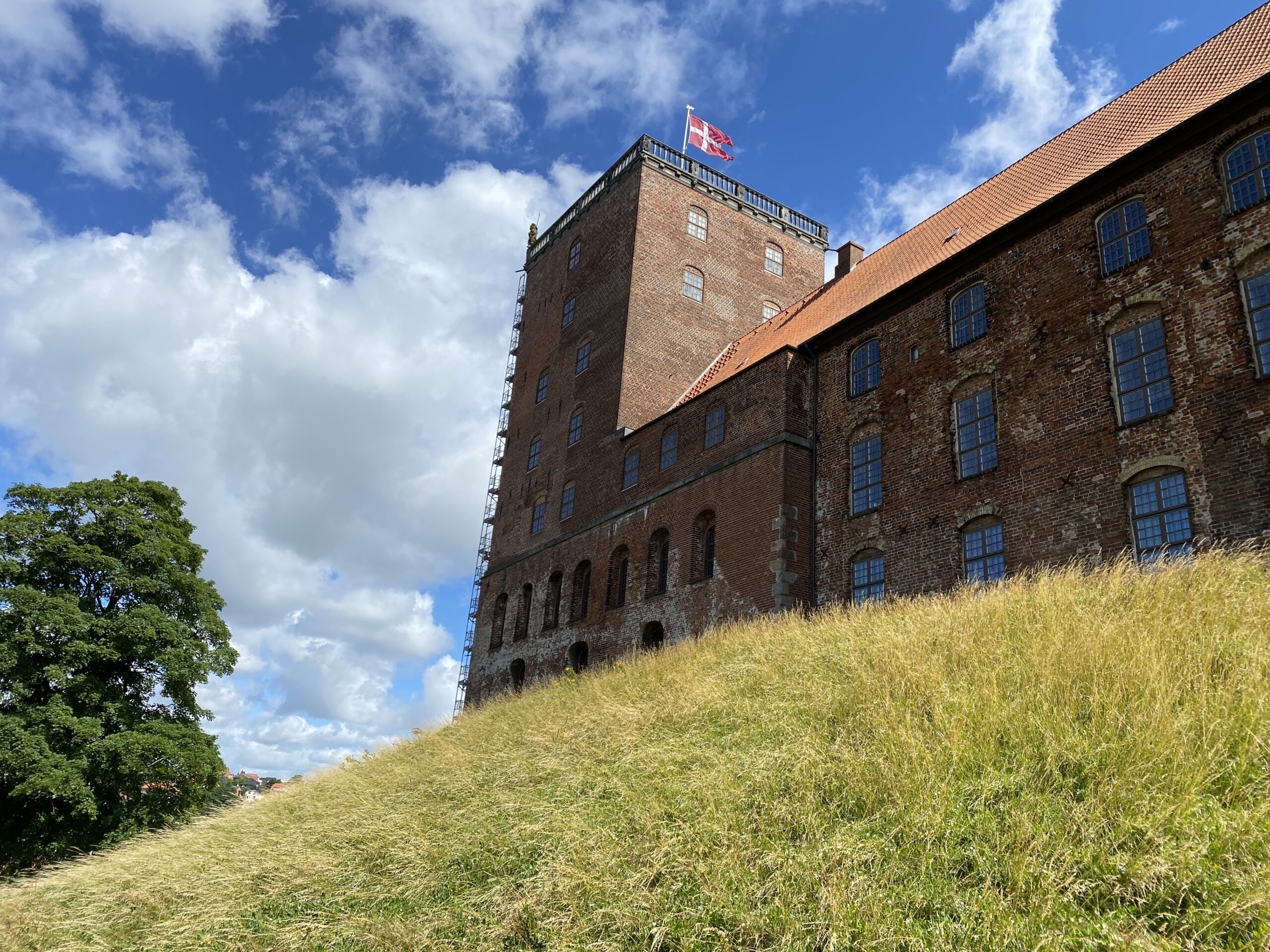 Sidste skoledag samlede glade unge ved Koldinghus