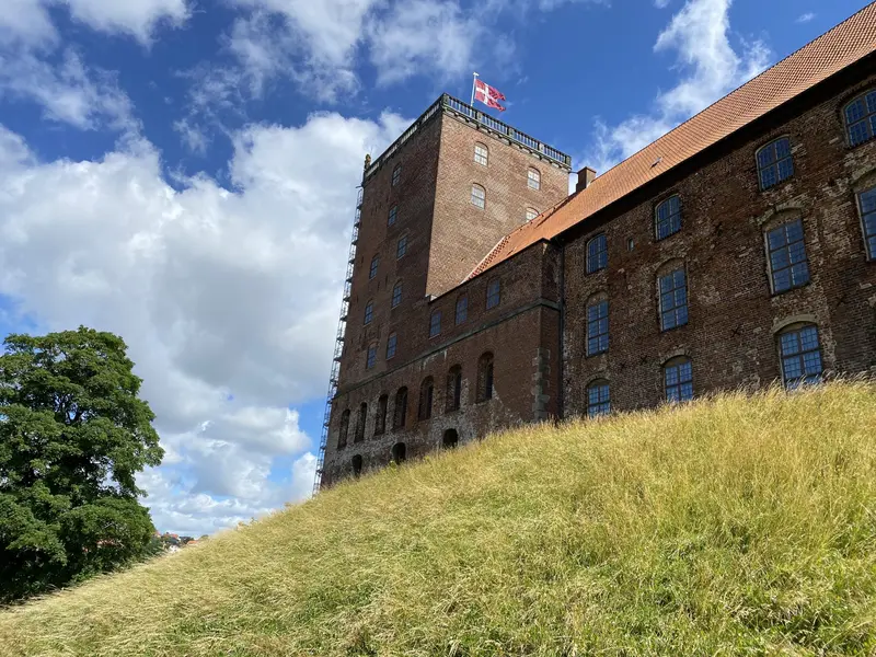 Sidste skoledag samlede glade unge ved Koldinghus