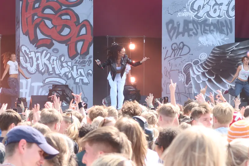 Ny festivalplads på vej i Jelling?