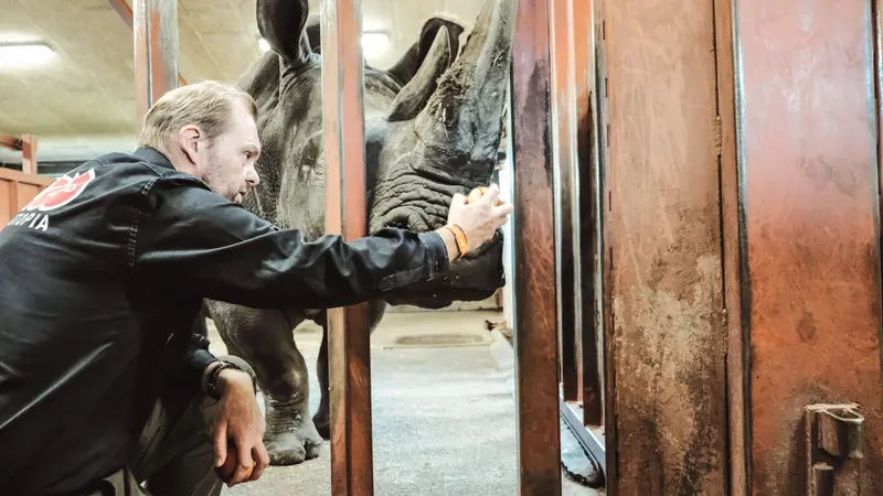 Givskud Zoo: En morgen med biologen Kim