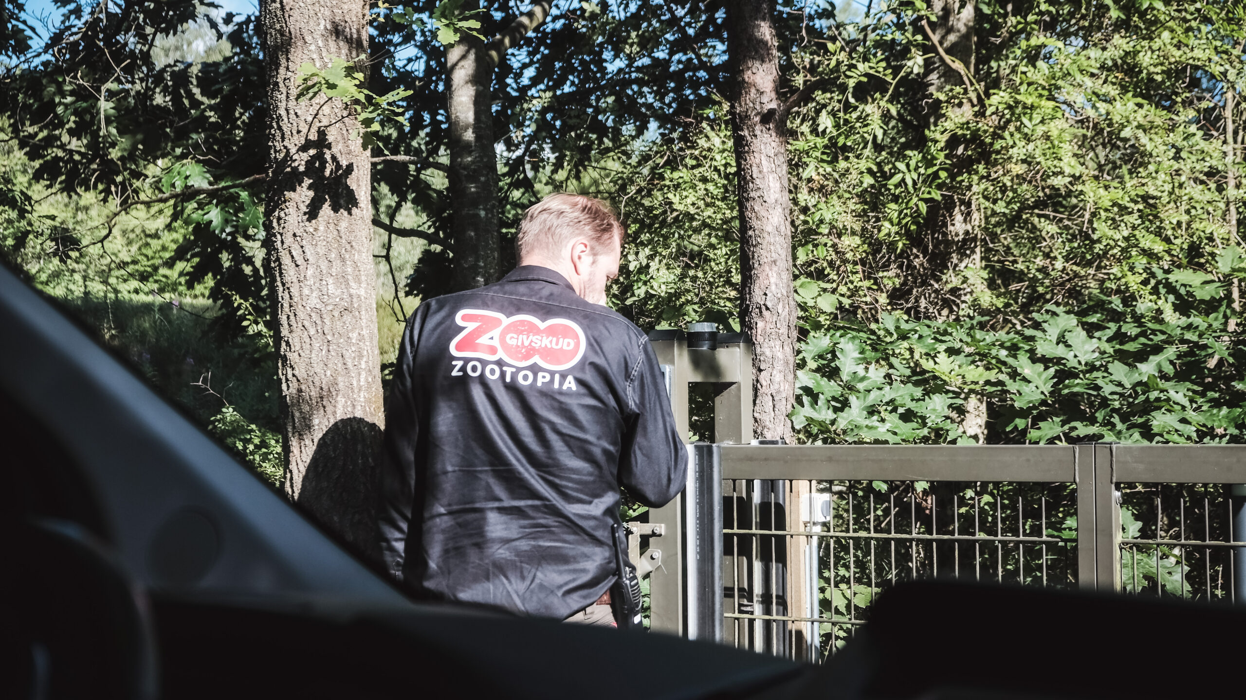 GIVSKUD ZOO afslutter rekordnær sæson med høje besøgstal