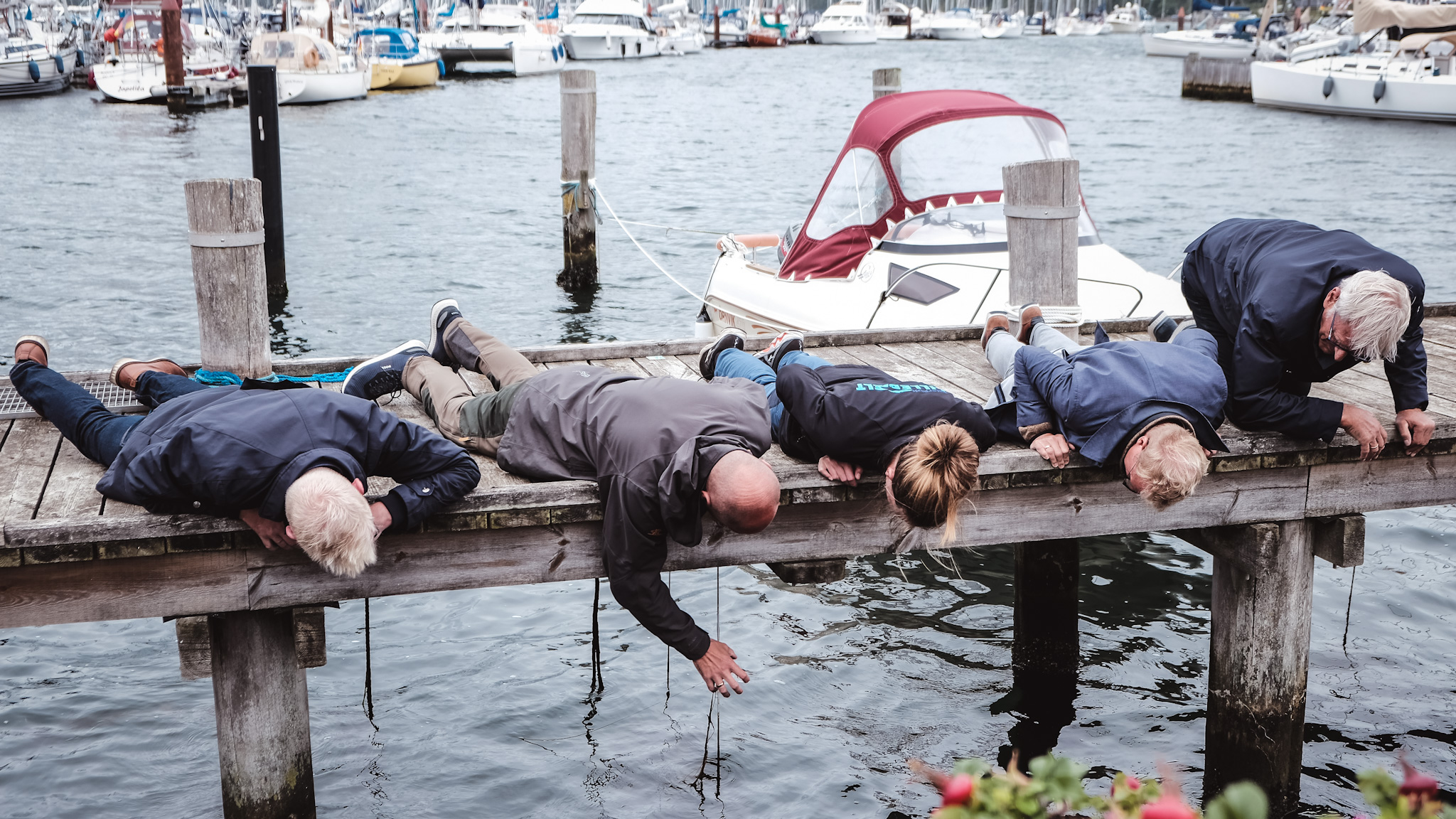 Ny Havnaturfond skal redde havets dyreliv