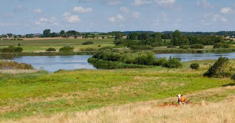 Vandring og fortælling ved Rands Fjord