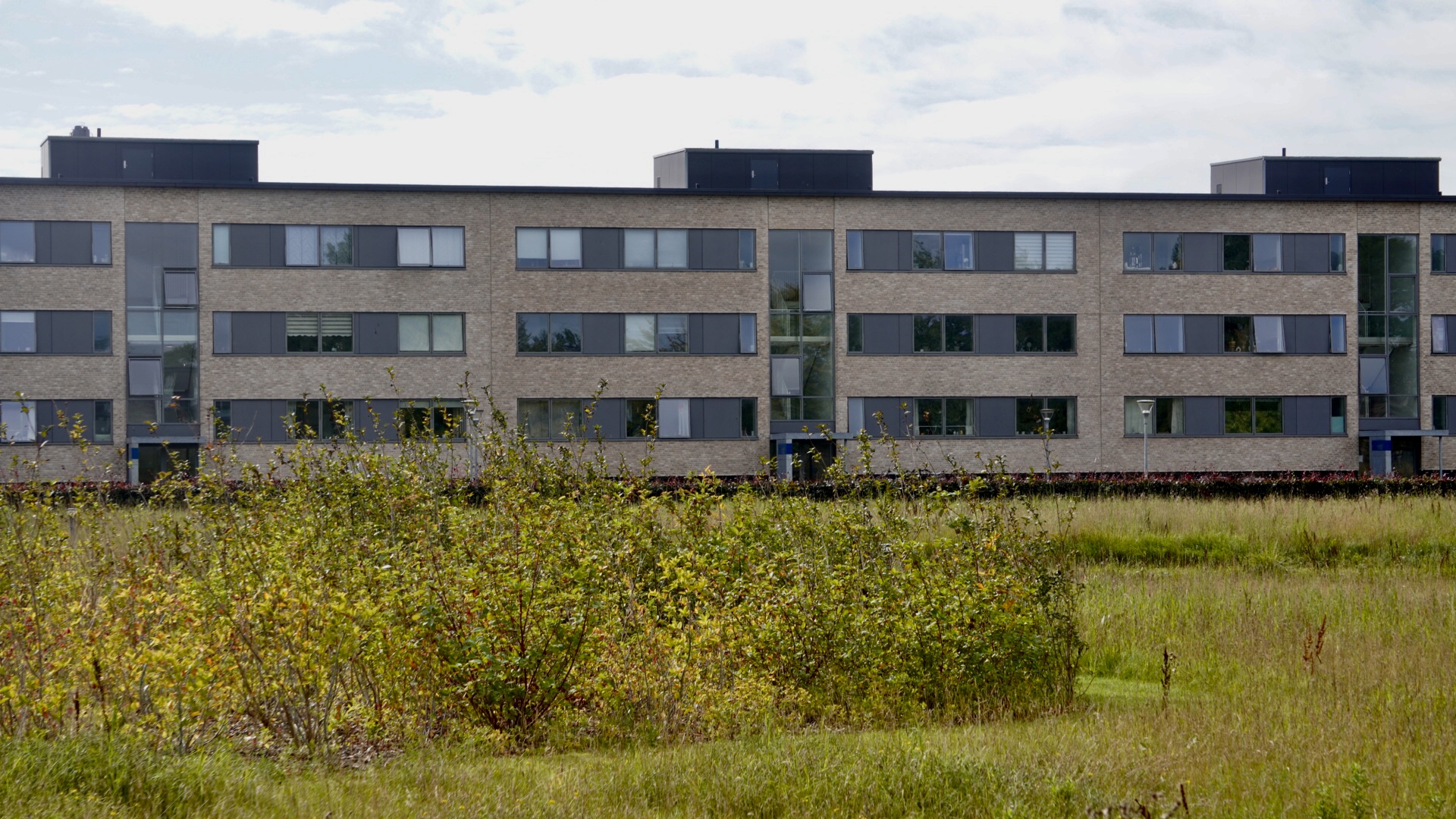 Korskærparken havde håbet at komme af forebyggelsesliste