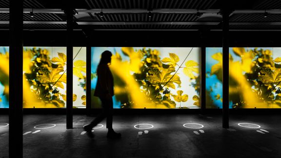 Home of Carlsberg lancerer nyt digitalt univers