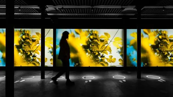 Home of Carlsberg lancerer nyt digitalt univers