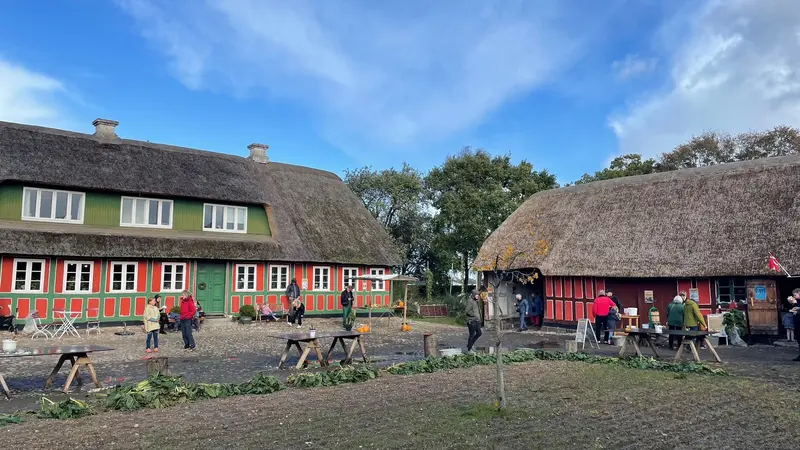 Forår, uld og urter på Kringsminde – en hyggelig dag for hele familien