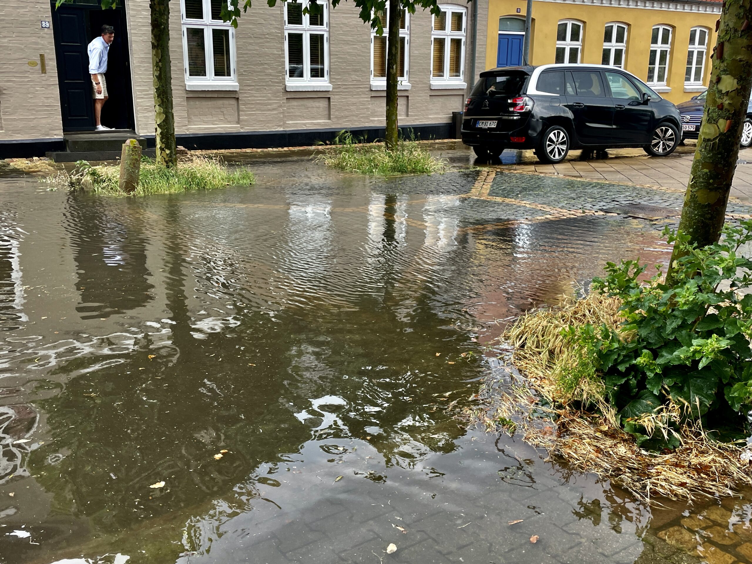 Byer skal bruge naturen til at klare hedebølger og oversvømmelser