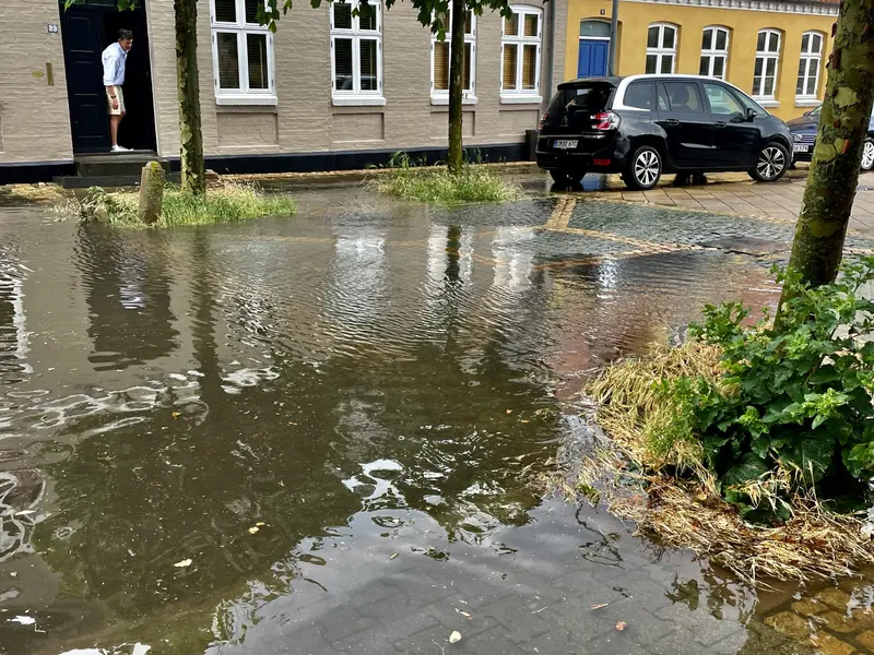 Byer skal bruge naturen til at klare hedebølger og oversvømmelser