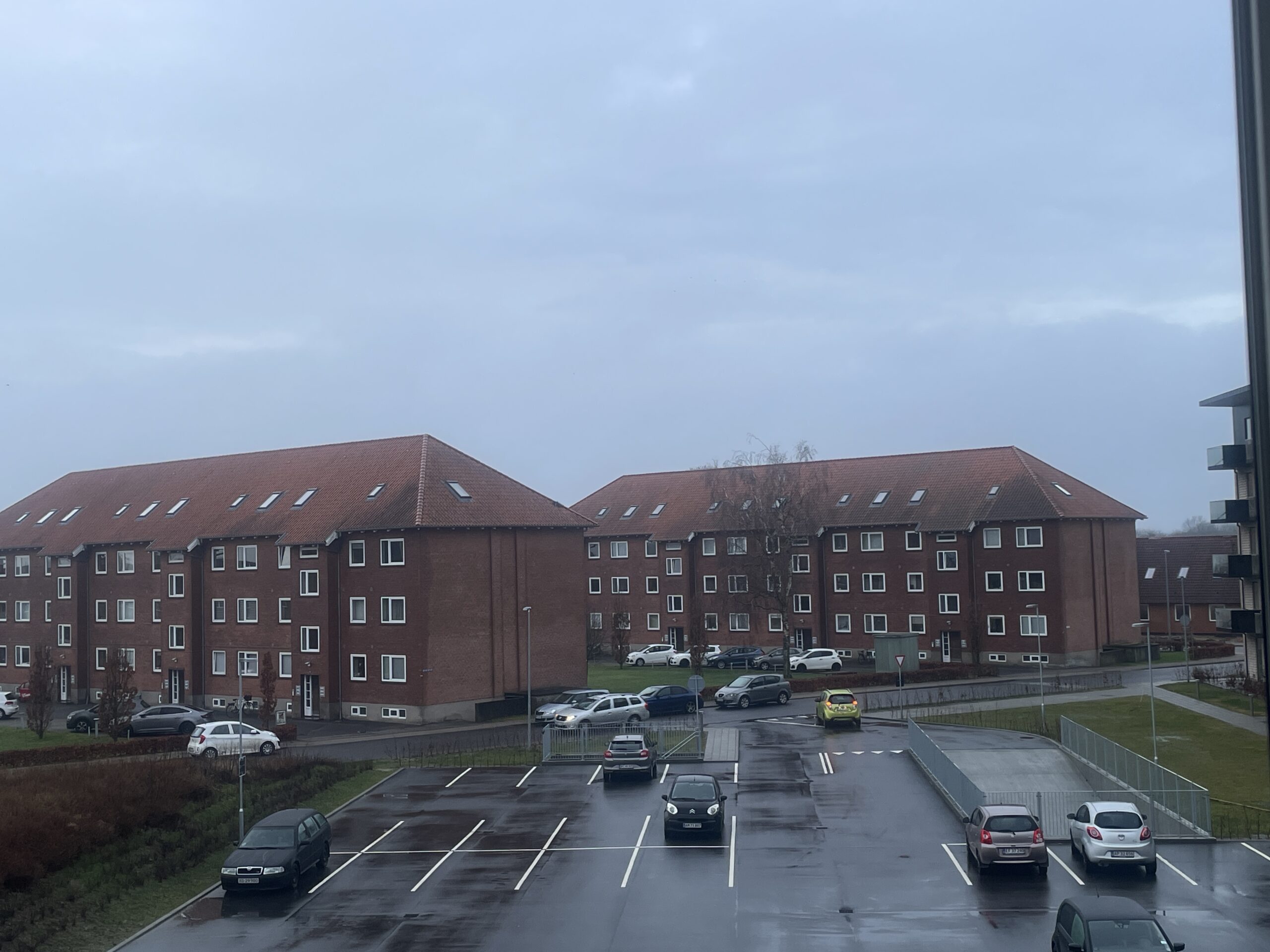 Usædvanligt høje temperature i februar