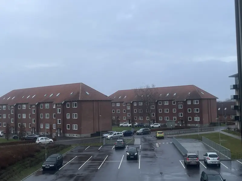Usædvanligt høje temperature i februar