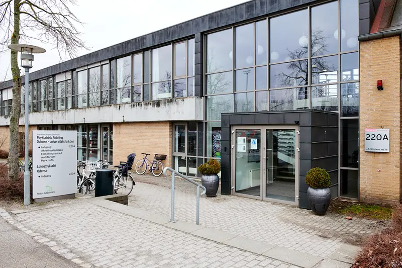 Regionsråd bakker op om fælles ledelse i Odense og Svendborg