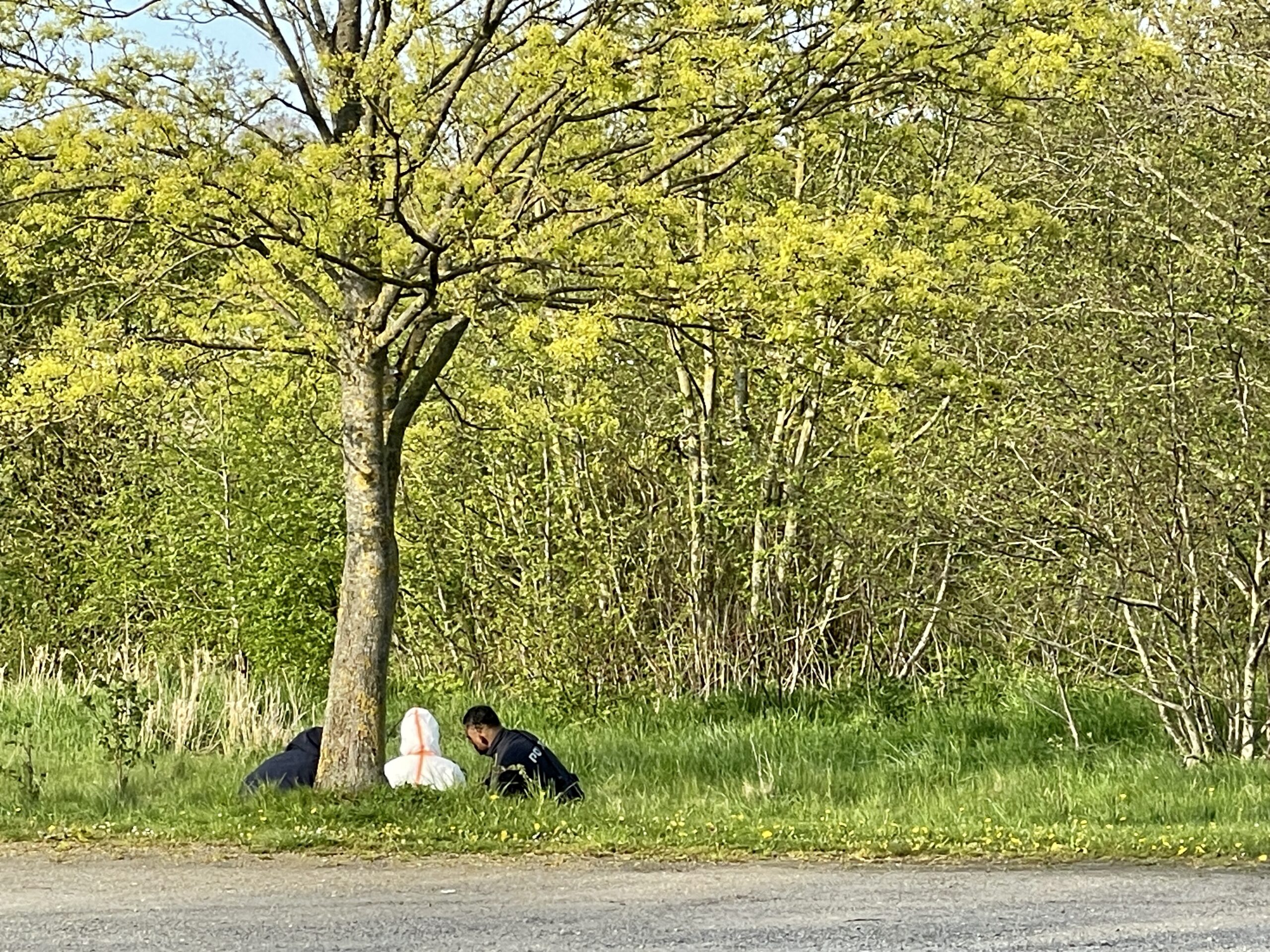 Søn ville slå mor ihjel