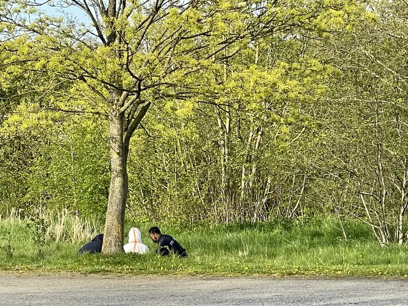 Søn ville slå mor ihjel