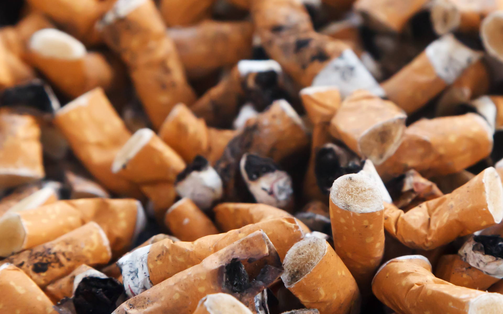 Cigaretproducenter skal betale mere for opsamling af skod