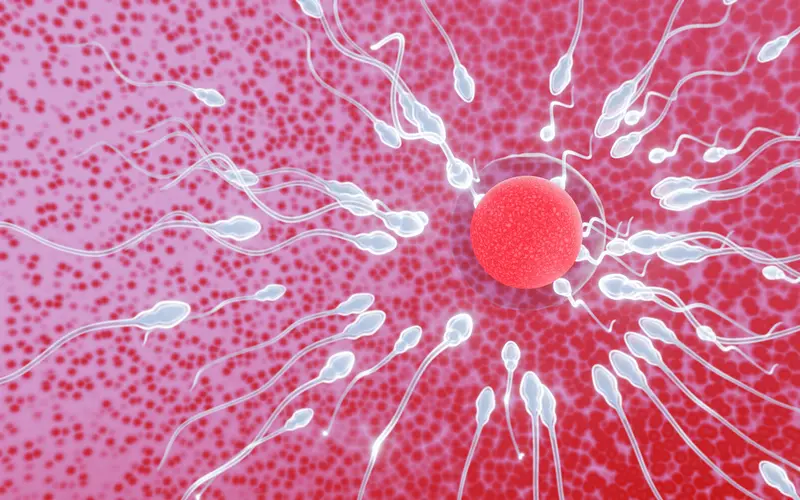 Nye horisonter i fertilitetsbehandling
