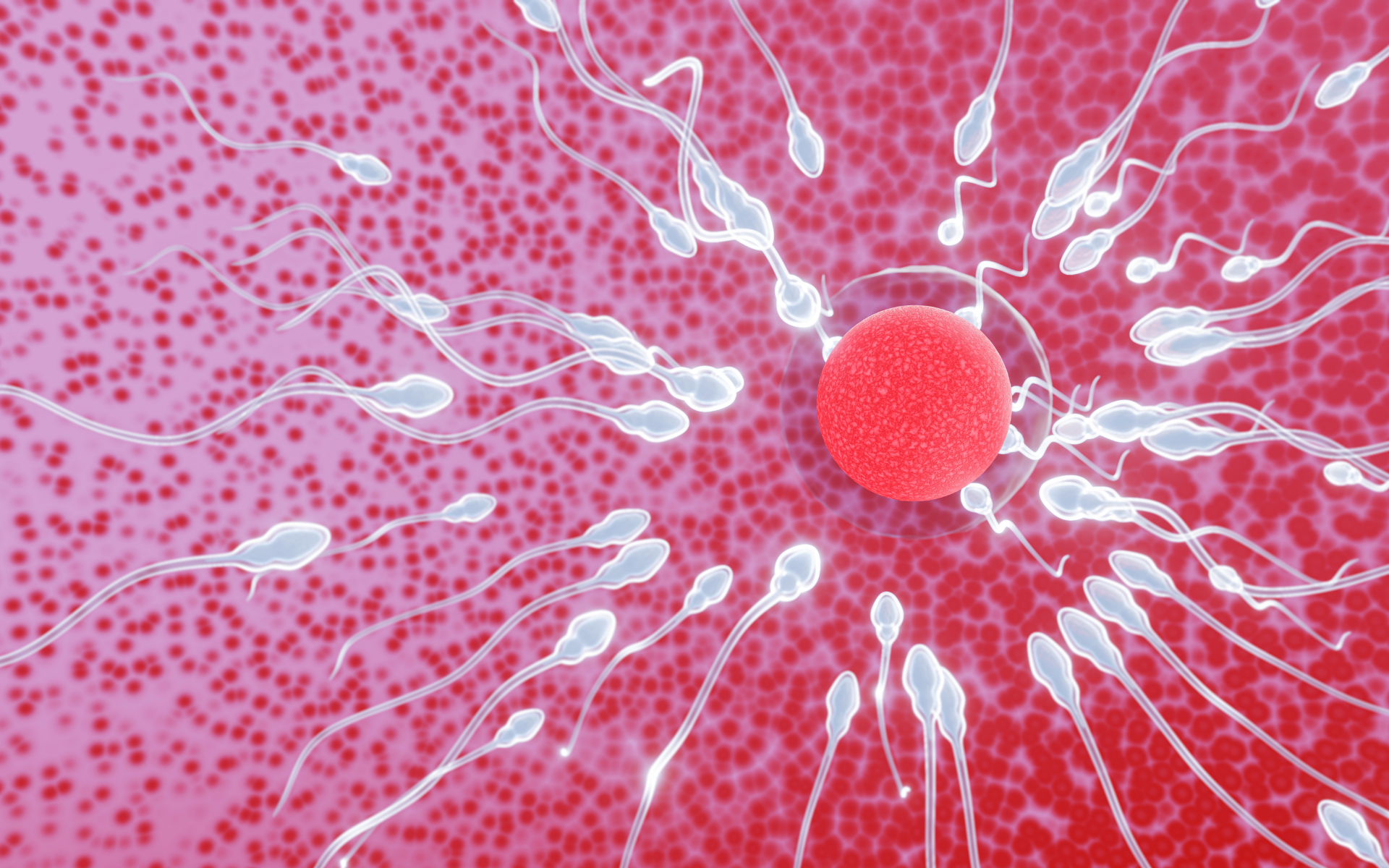 Nye horisonter i fertilitetsbehandling