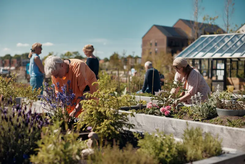 Kom til plantemarked i Søndervold