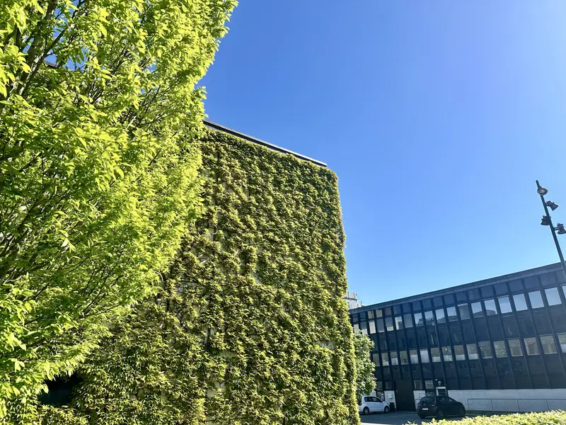 Så mange regler at Fredericia ikke kan overholde dem