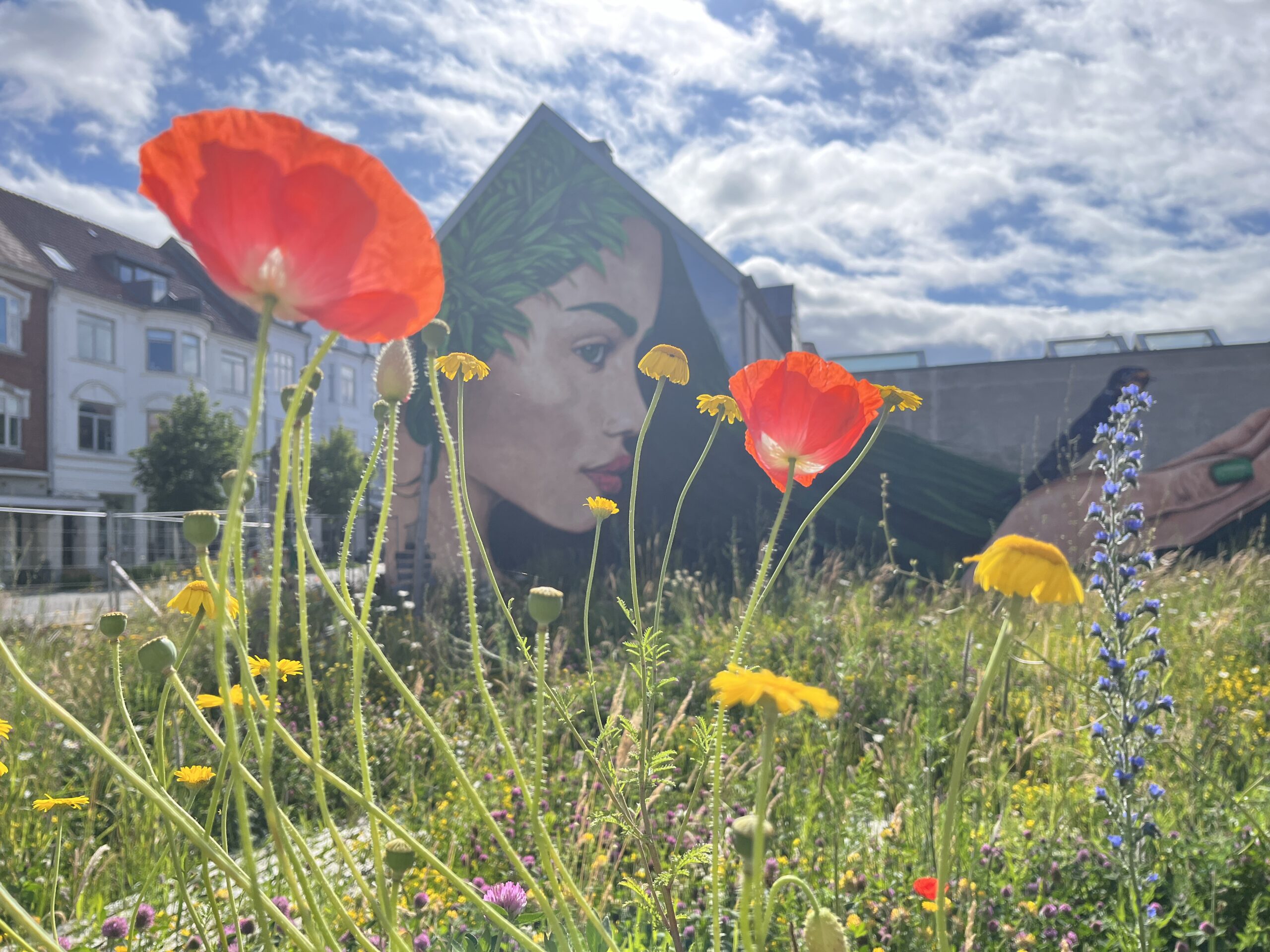 By-naturgrunden Ø2 bliver ny scene på Klimafolkemødet